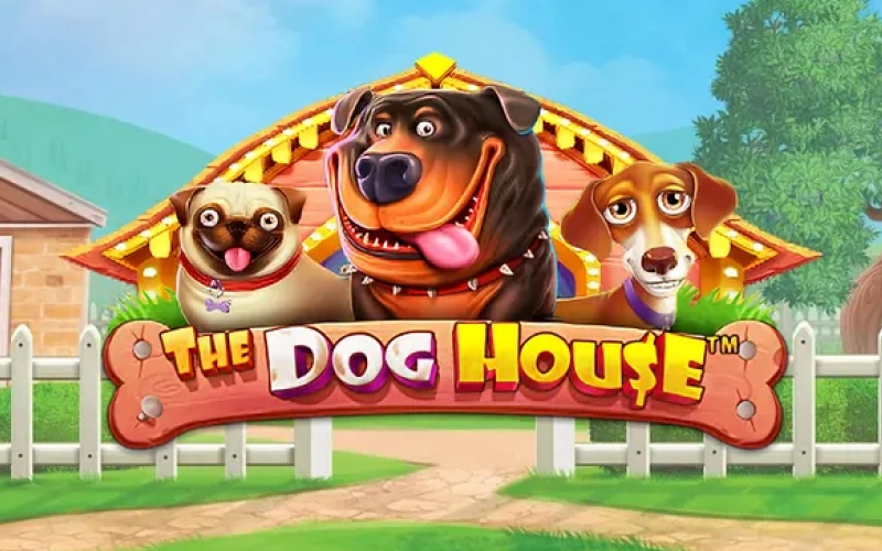 Odwiedź wesołe psy w domu pełnym lepkich symboli wild w The Dog House w Gamespot.